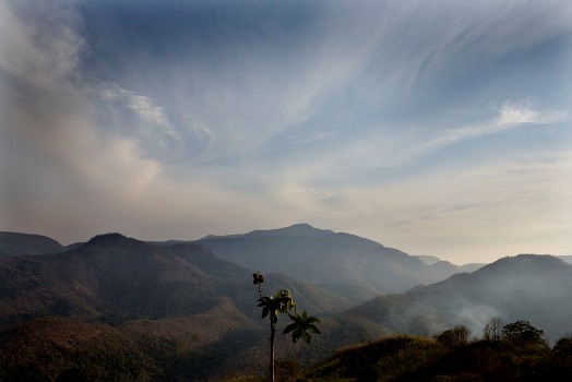 Niyamgiri Hills